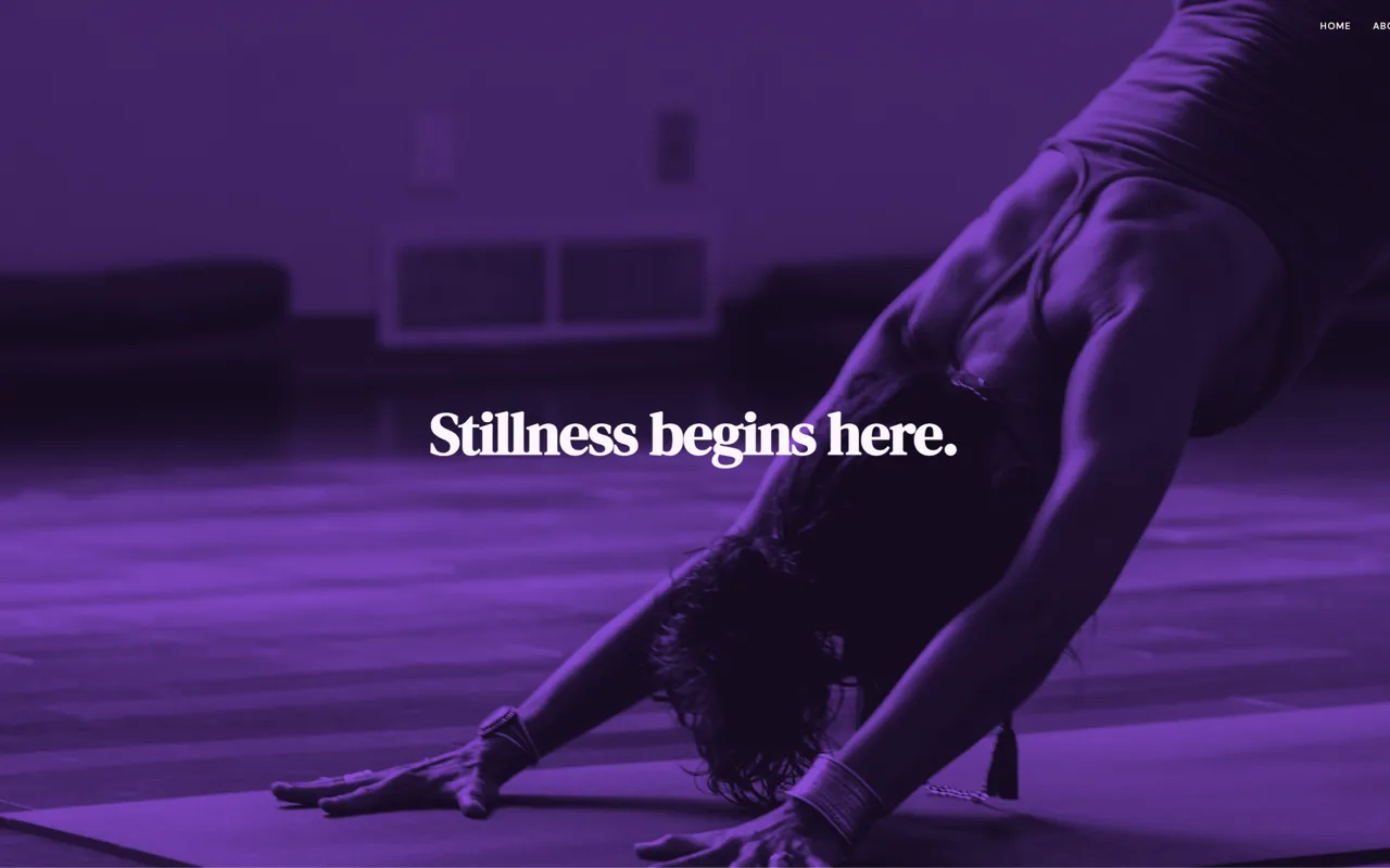 Zen Yoga Studio — Wellness